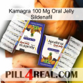 Kamagra 100 Mg Oral Jelly Sildenafil 12